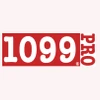 1099 Pro Professional-