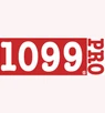1099 Pro Professional