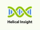 Helical Insight Helical Insight