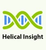 Helical Insight Helical Insight