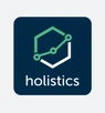 Holistics Holistics