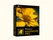 inPixio Photo Maximizer Pro