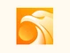 Falcon VPN
