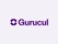 Gurucul