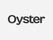 Oyster EOR