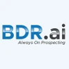 BDR AI-