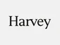 Harvey AI