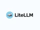 LiteLLM