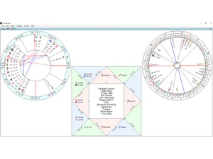 Janus 6.2 three wheel