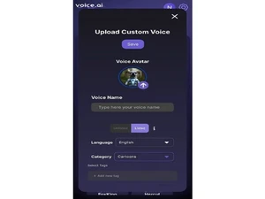 voice ai custom