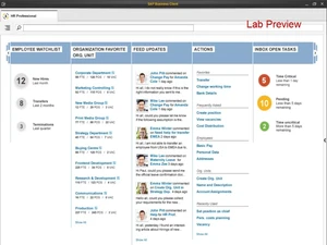 SAP HCM Professional