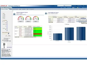oracle business intelligence-graphs
