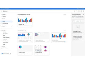 looker software-reports