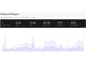 fathom analytics activity views