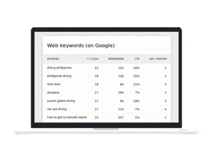 matomo web analytics keywords