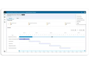 Blue Yonder business planning