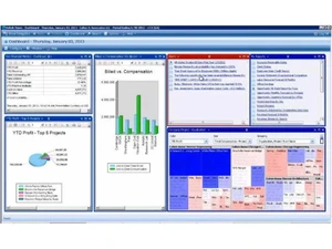 deltek erp-analytics