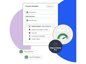 learndash introduction