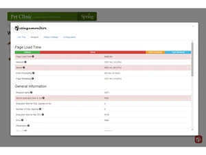StageMonitor-request trace