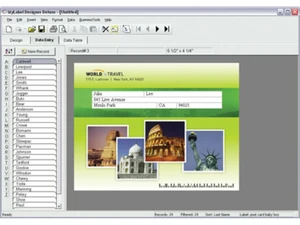 MyLabel Designer Deluxe 9-data entry