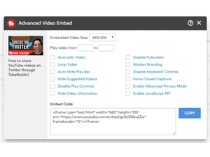 tubebuddy embed