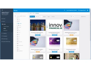 OpenText Web CMS-media