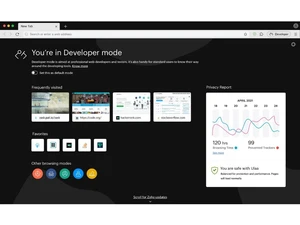 Ulaa Developer Mode
