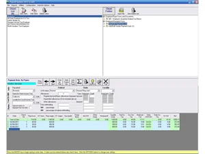 livepayroll-interface