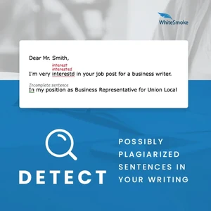 White Smoke Correct Desktop detect