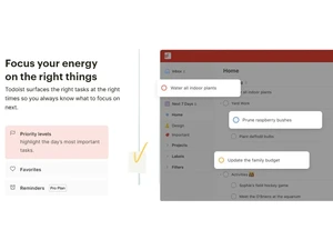Todoist Reminders