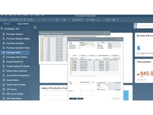 sap business one-dashboard