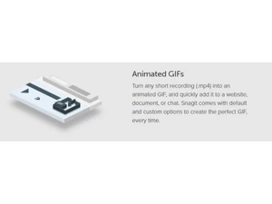 Techsmith Snagit animated gif