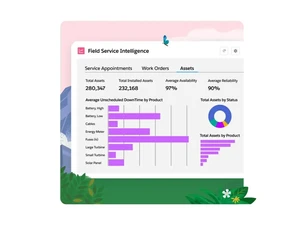 salesforce field service assest