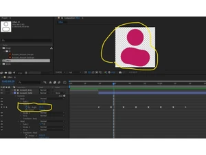 lottiefiles-settings