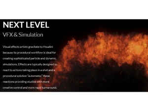 Houdini VFX and Simulation