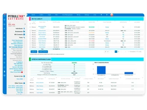 pitbulltax-interface