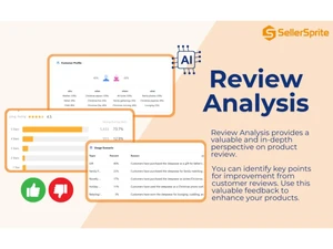 SellerSprite-review analysis
