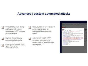 Portswigger Burp Suite custom