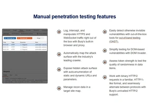 Portswigger Burp Suite penetration