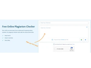 PapersOwl-plagiarism checker
