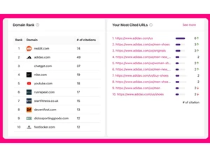 Otterly AI-domain rank