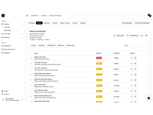 Ranked-audits