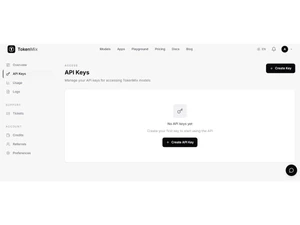 TokenMix-api keys