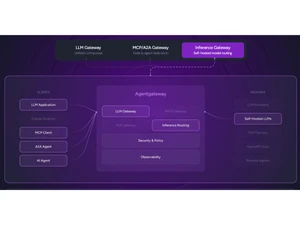 Solo Agentgateway-inference