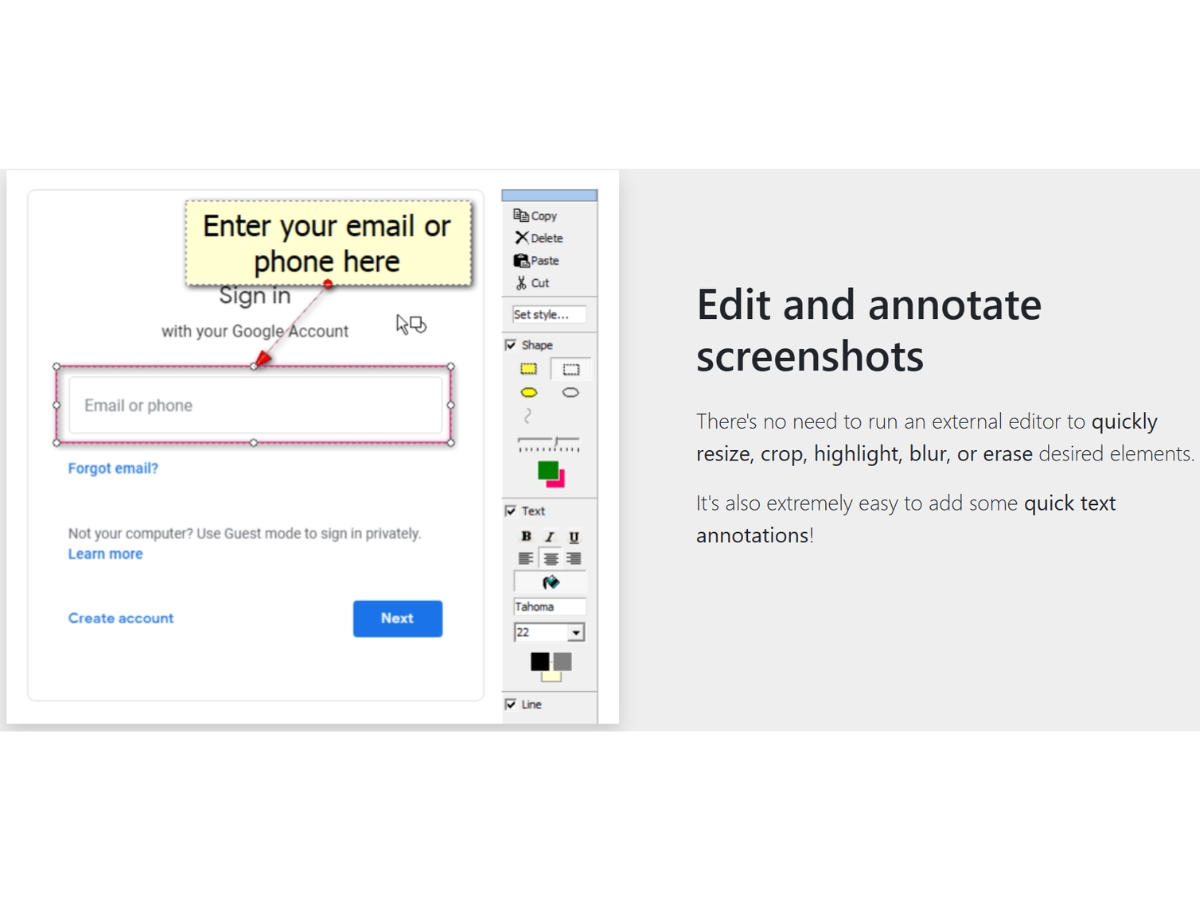 FireShot-annotate