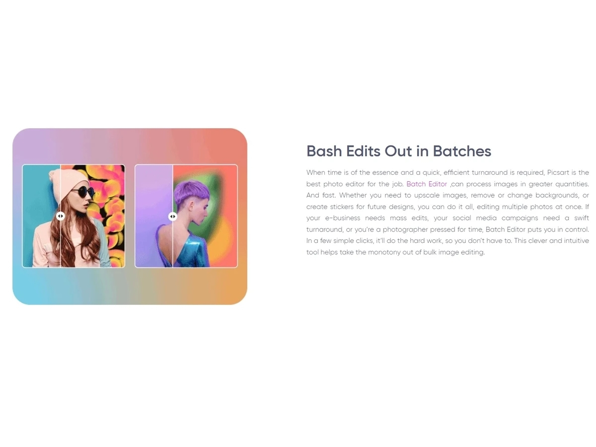 PicsArt-batches