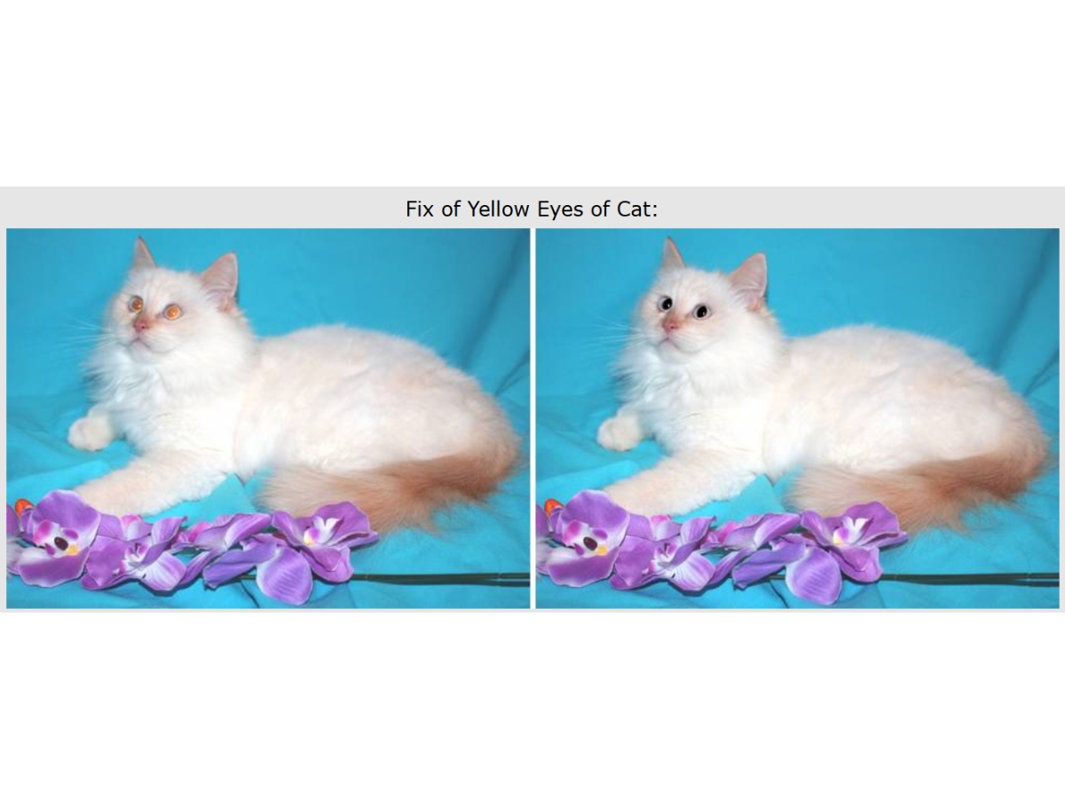 Tint Guide-editing