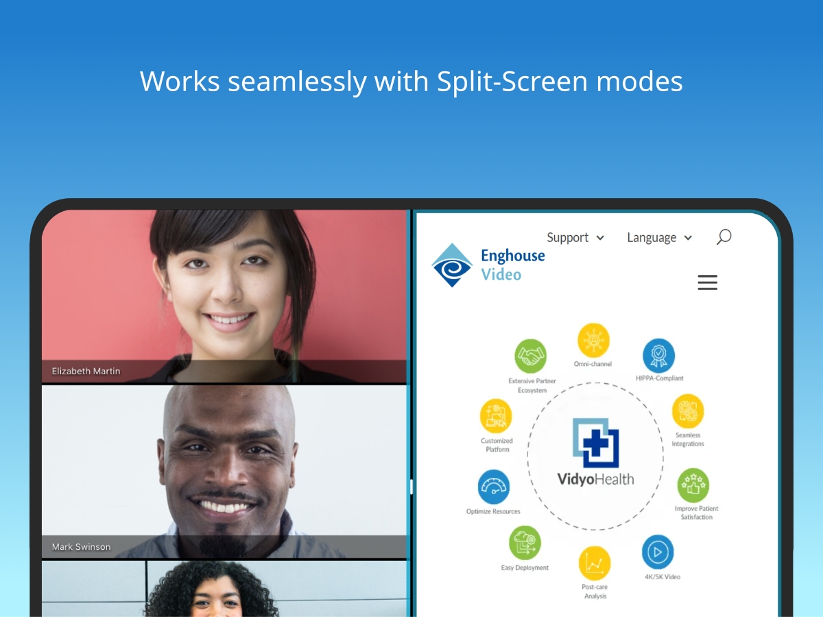 VidyoConnect-split screen