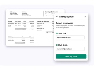 BlinkPayroll statement