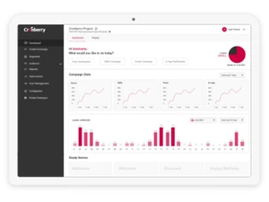 Cronberry dashboard